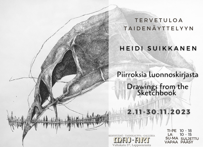 Marraskuun taidenäyttely - Piirroksia luonnoskirjasta, Heidi Suikkanen