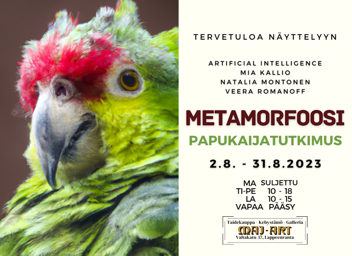 Elokuun taidenäyttely - Metamorfoosi: Papukaijatutkimus, Mia Kallio, Natalia Montonen, Veera Romanoff