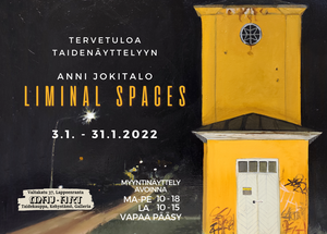 January exhibition - Liminal Spaces, Anni Jokitalo